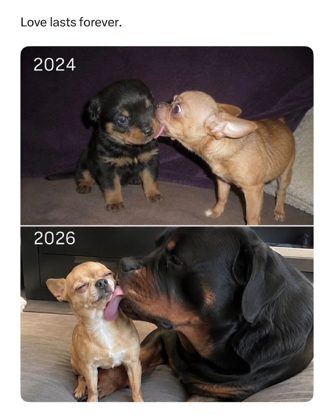 Love lasts forever.