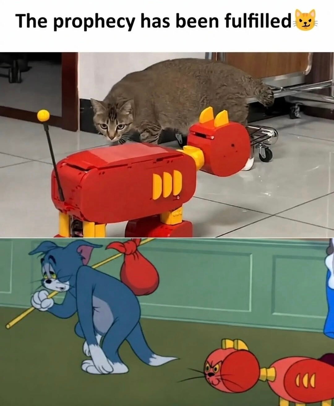 The prophecy has been fulfilled.