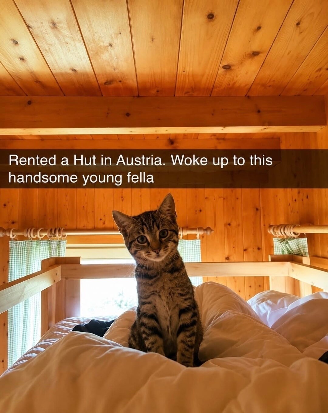 Rented a Hut in Austria.