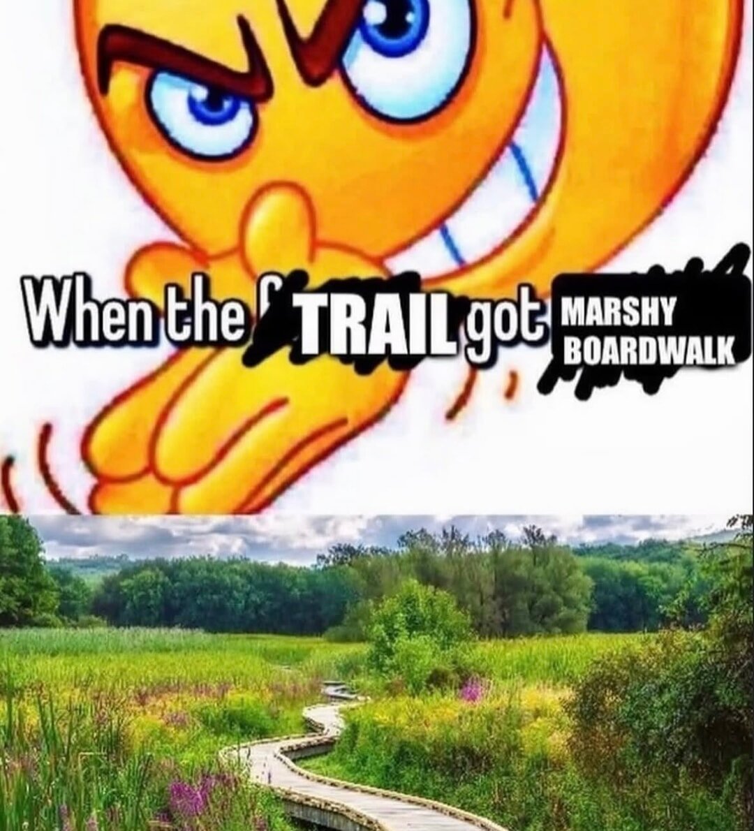 When the trail got marshy boardwalk