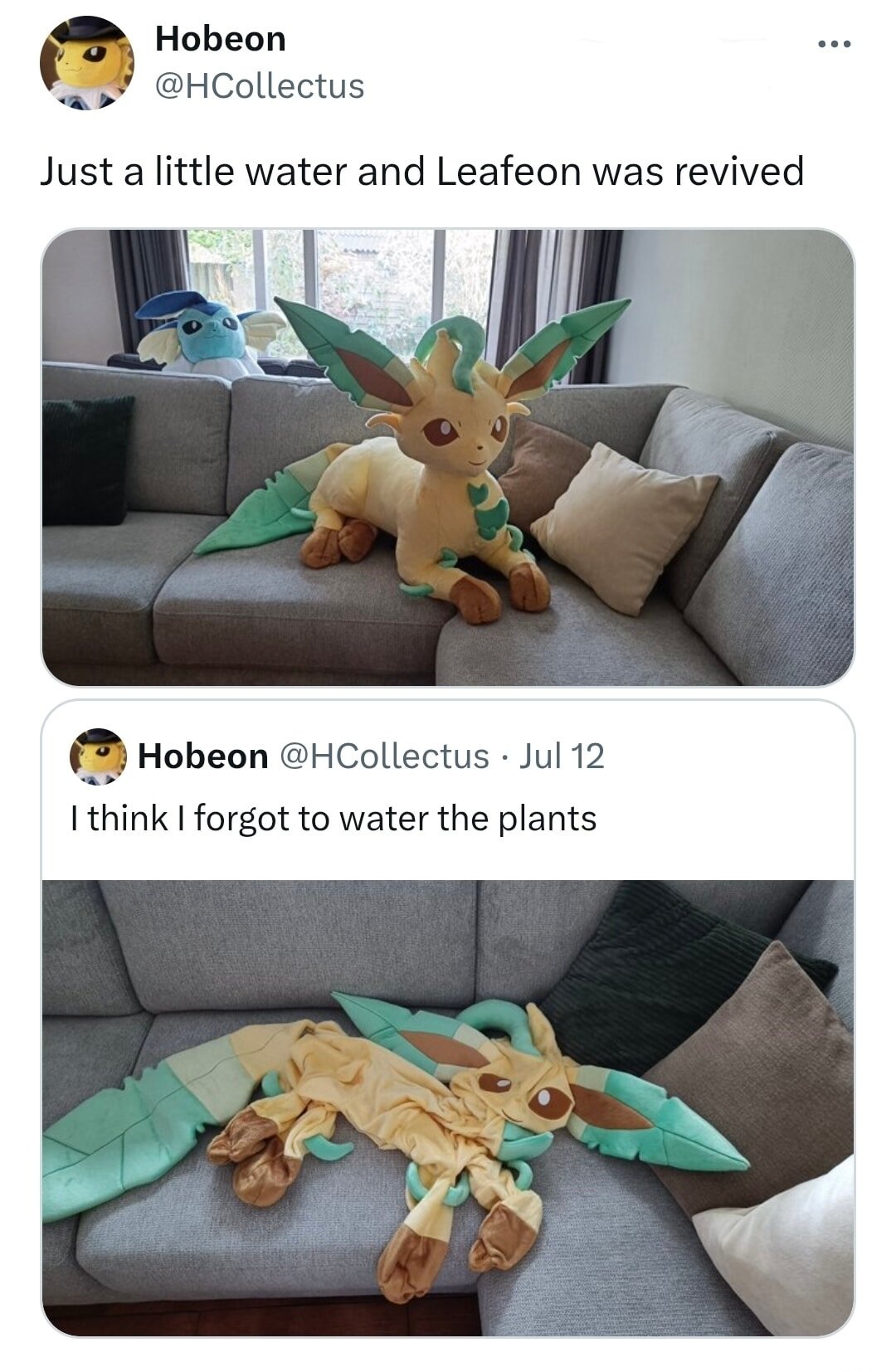 I think I forgot to water the plants.