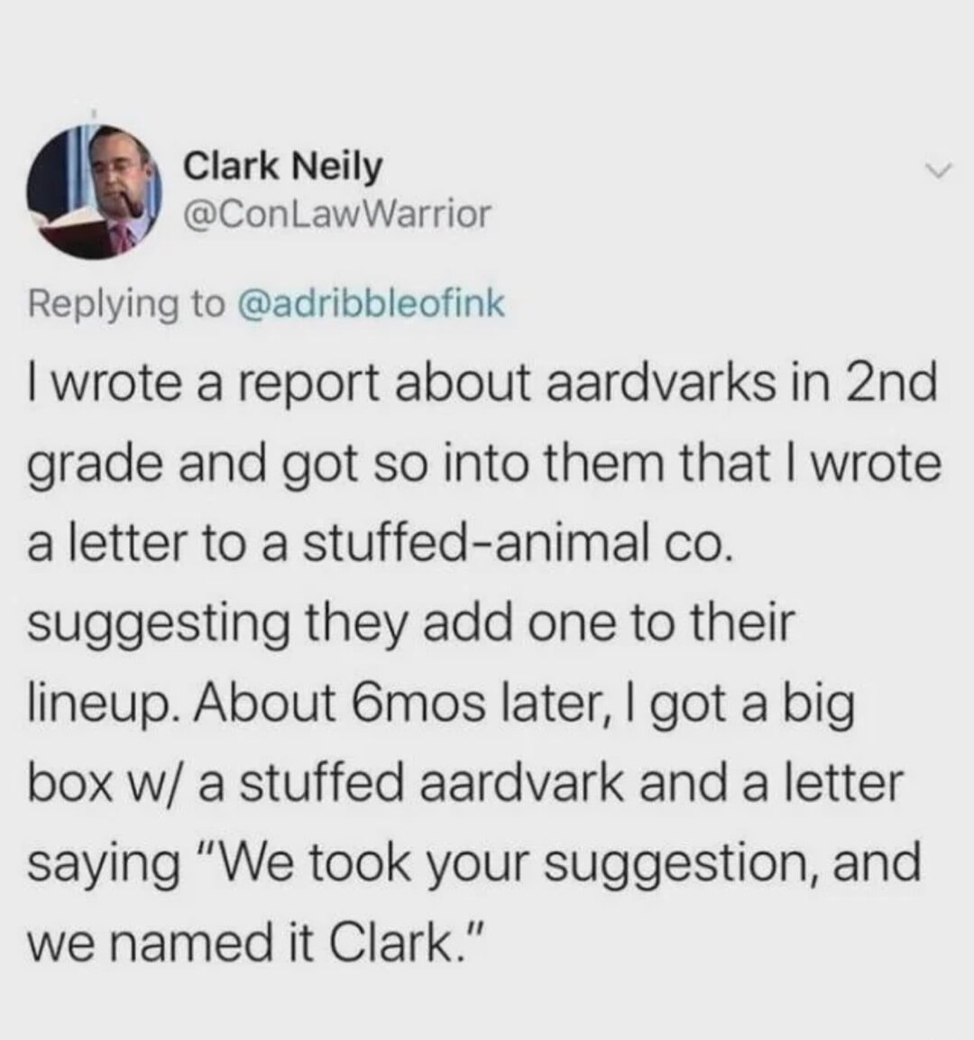 I wrote a report
