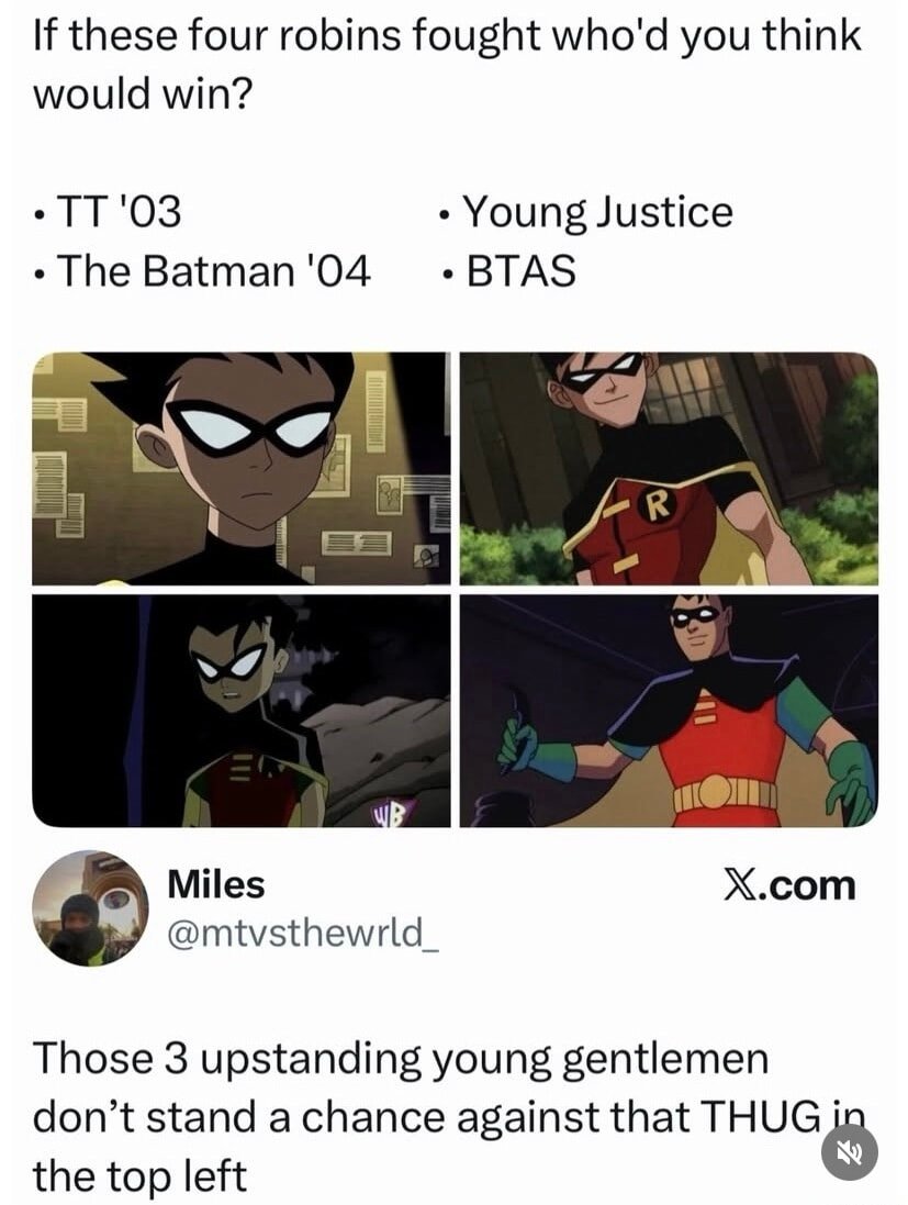 If these four robins fought who’d you think would win?