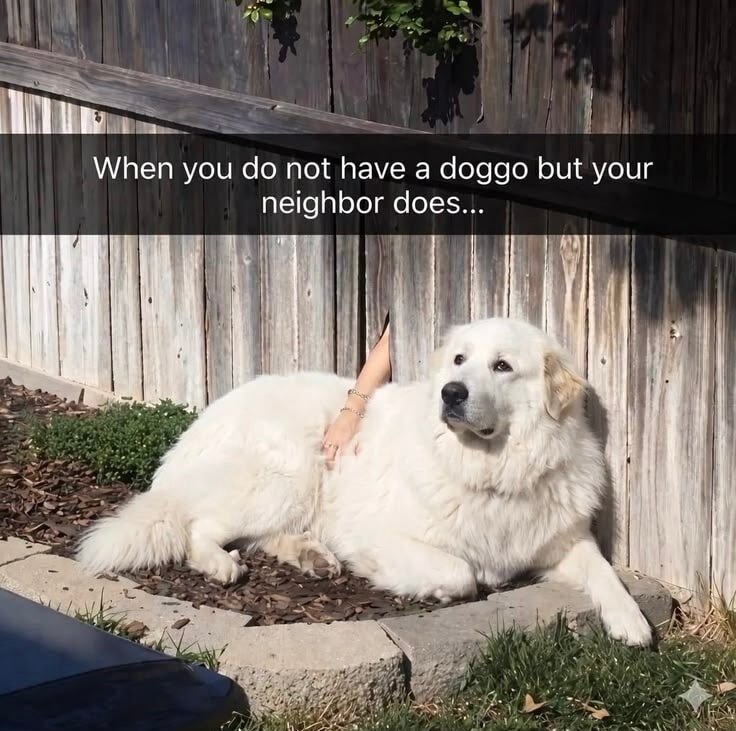 When you do not have a doggo…