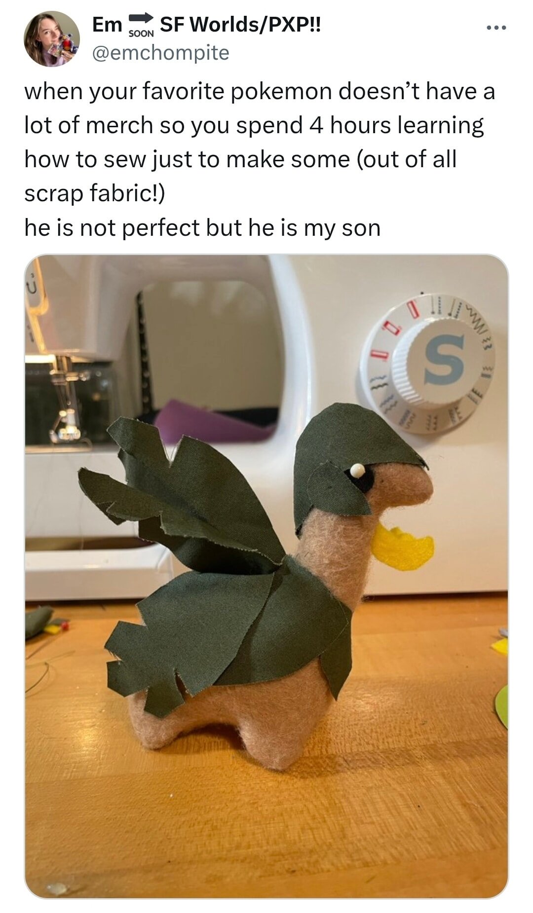 He is not perfect but he is my son