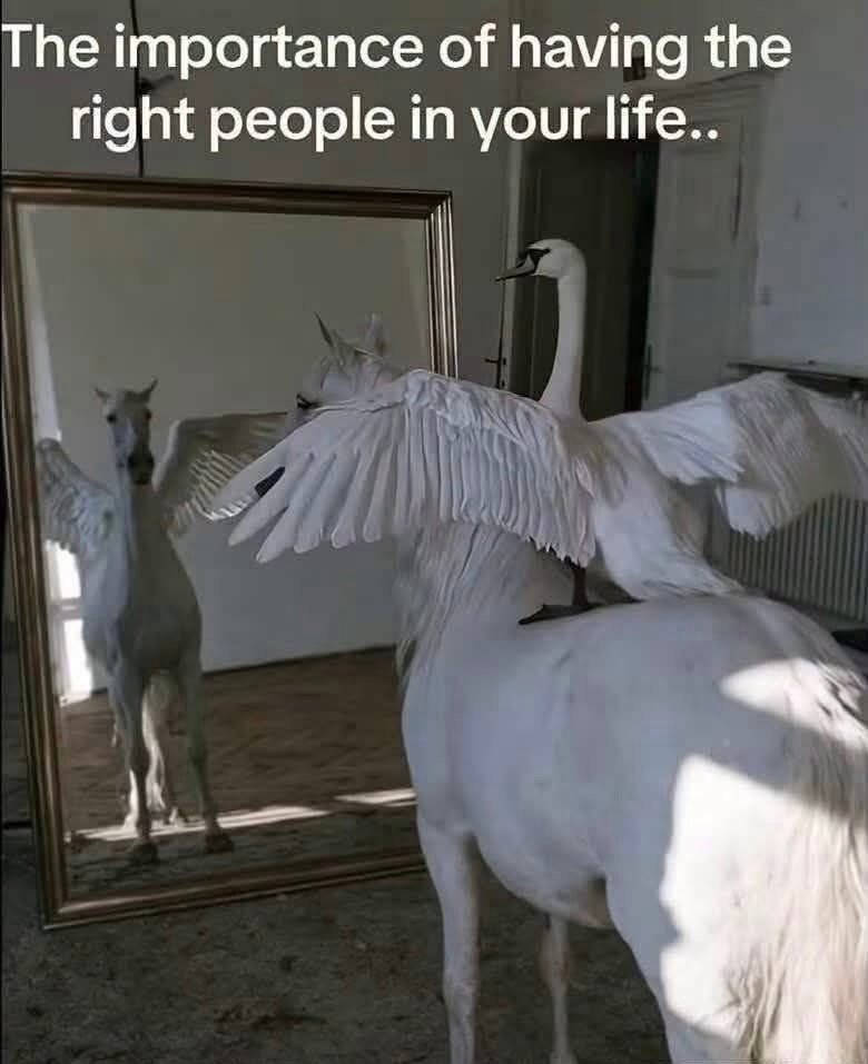 The importance of having the right people in your life..