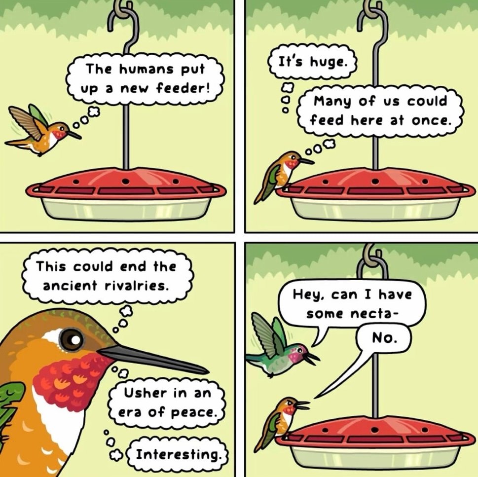 The humans put up a new feedee