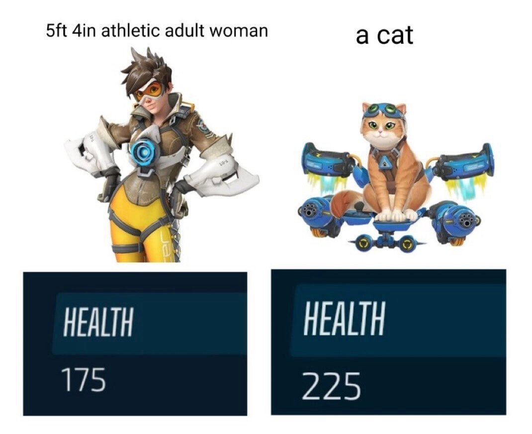 Cat health