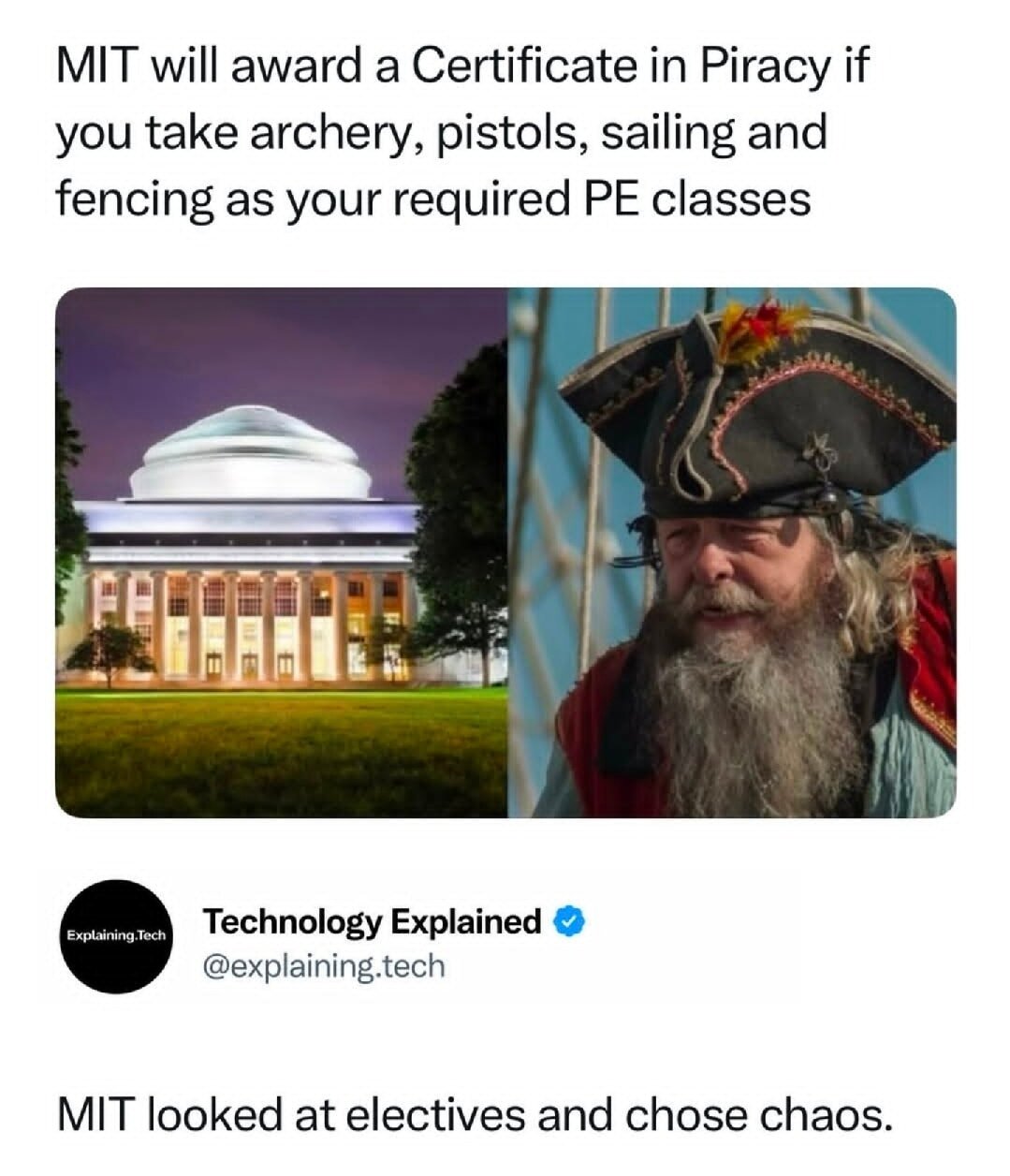 MIT looked at electives and chose chaos.