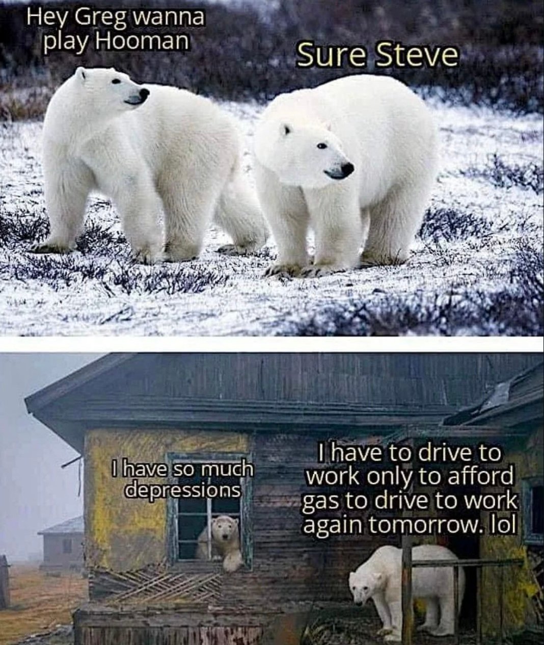 Hey Greg wanna play Hooman