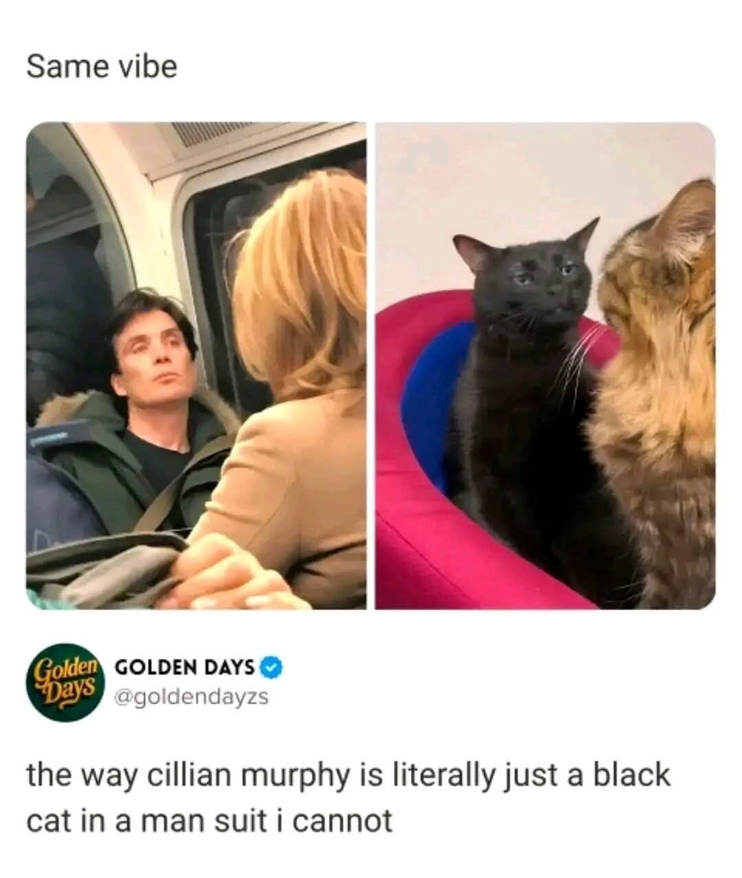 Same vibe