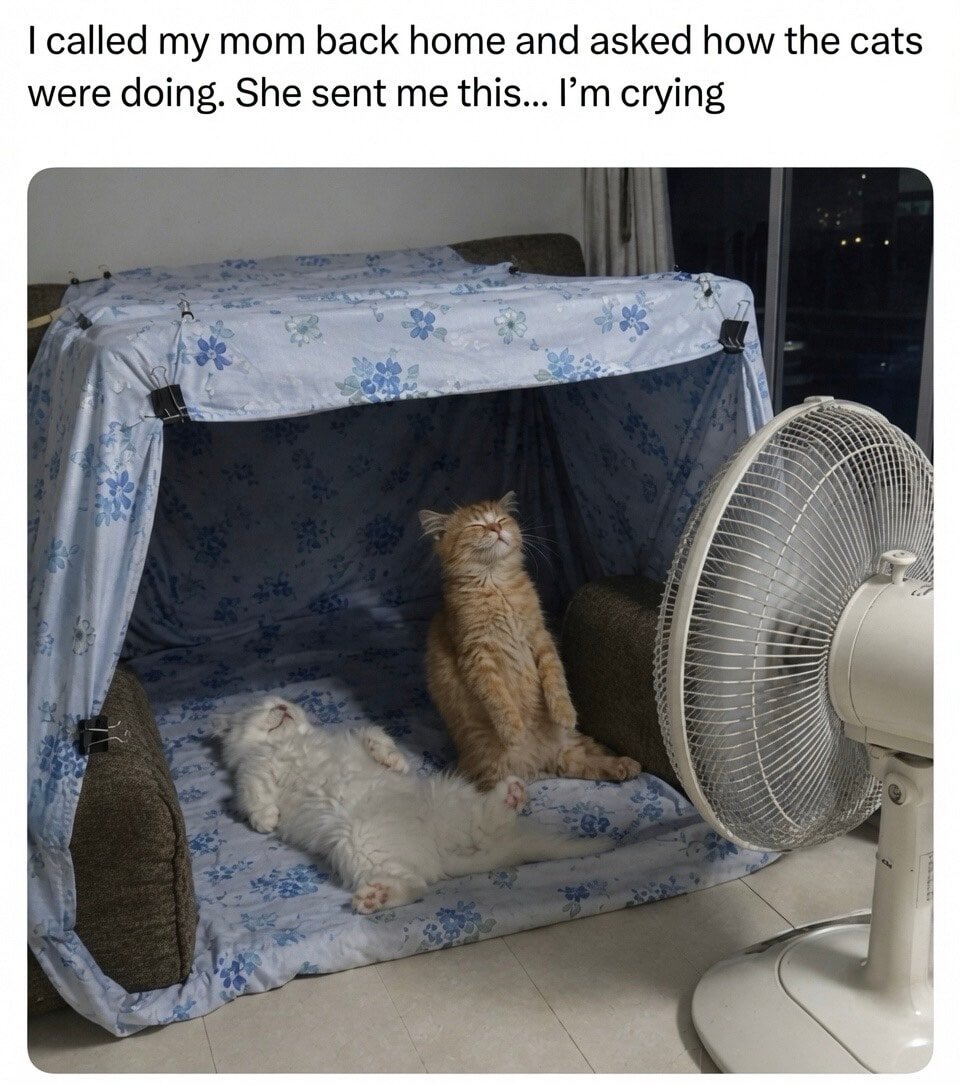 I called my mom back home