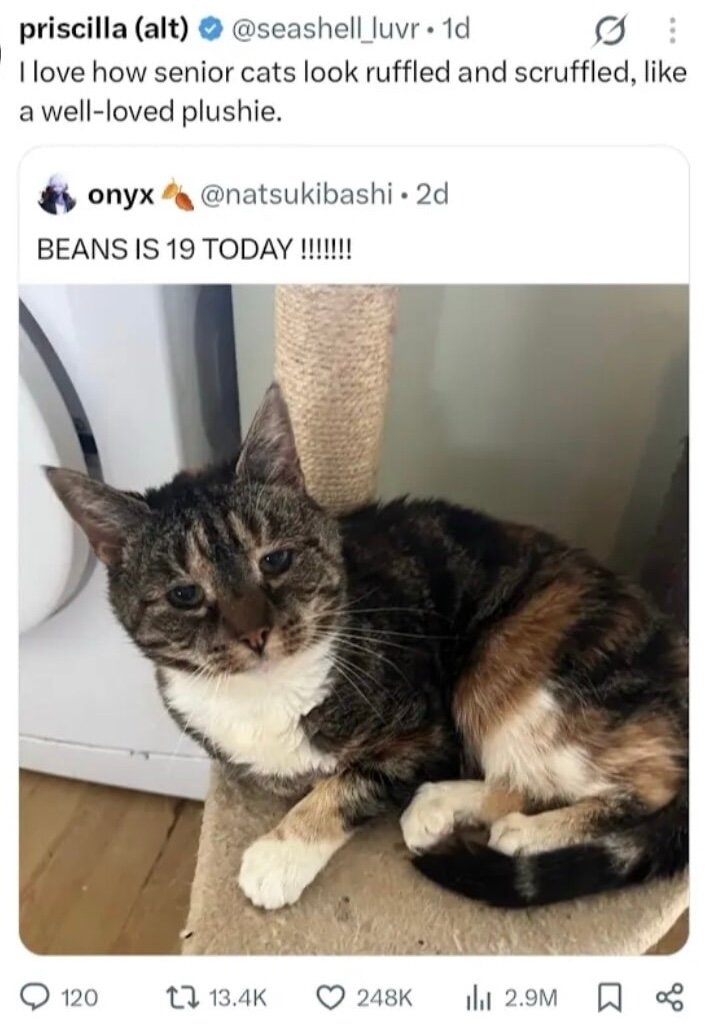 Beans is 19 today!