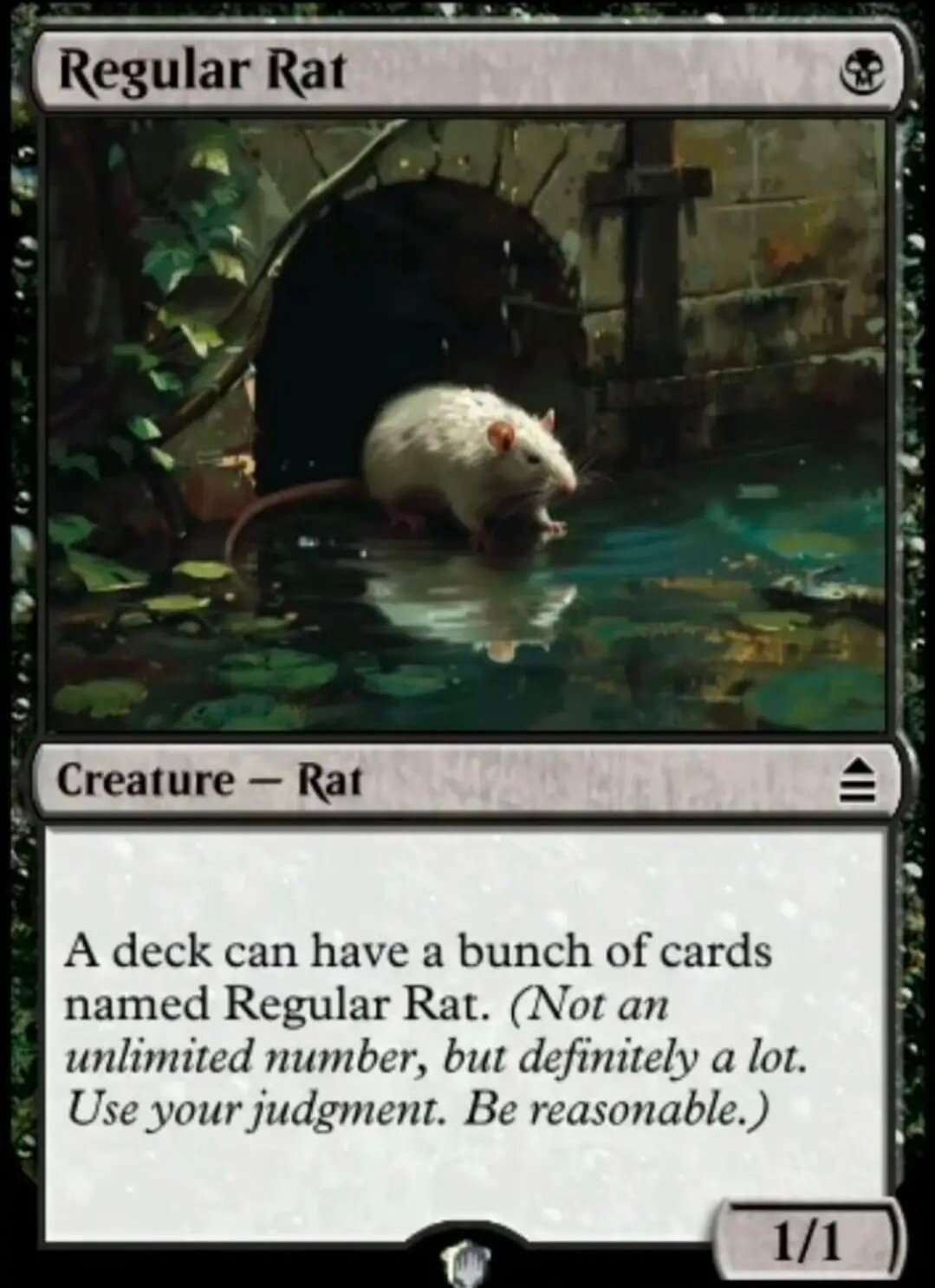 Regular rat