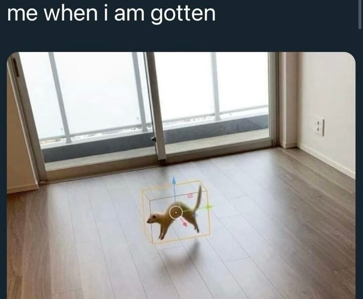 Me when i am gotten