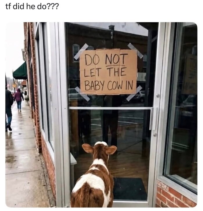 Tf did he do?